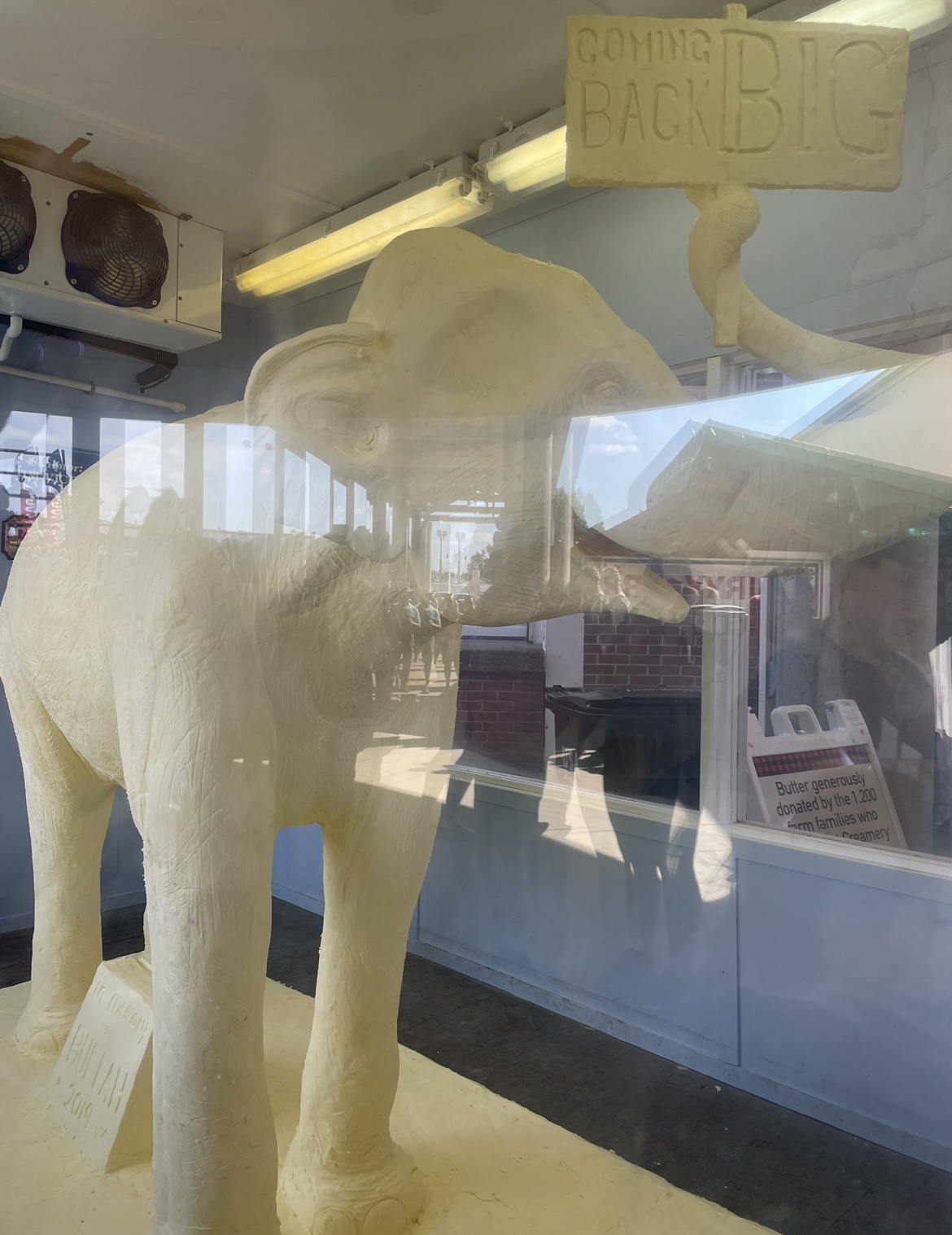  Image of a butter sculpture of an elephant holding a sign that says COMING BACK BIG.